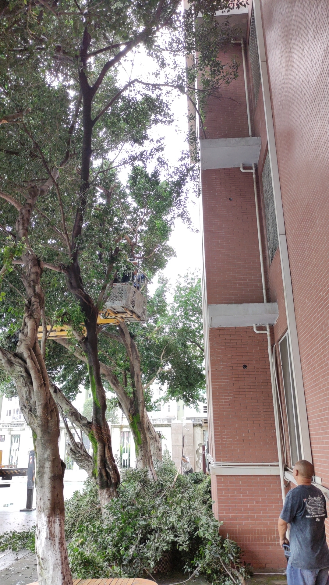 微信图片_20250922170011.jpg 微信图片_20250922170011.jpg