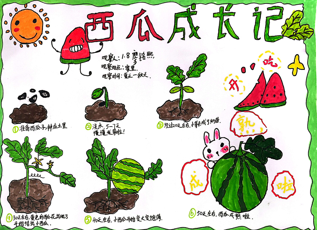 29850feba9a261919ef00cd13b629b6.png 29850feba9a261919ef00cd13b629b6.png