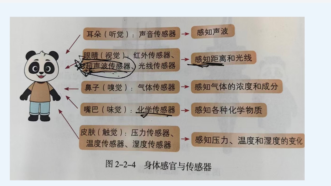 身体与传感器的对应关系.jpg